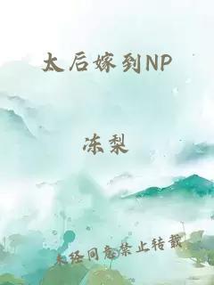 太后嫁到NP