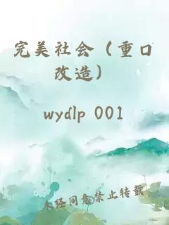 完美社会（重口改造）