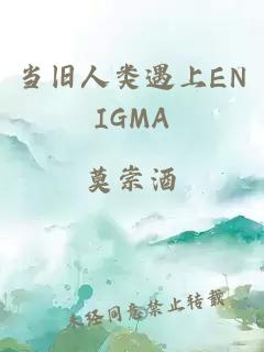 当旧人类遇上ENIGMA