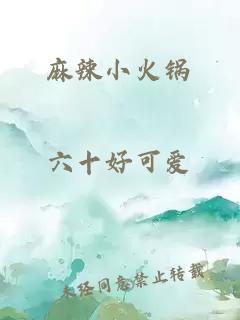 麻辣小火锅