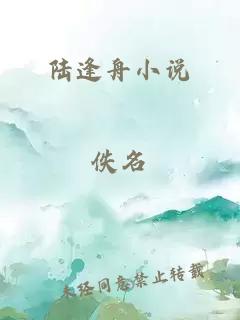 陆逢舟小说