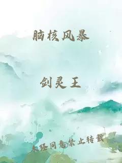 脑核风暴