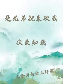 是兄弟就来砍我