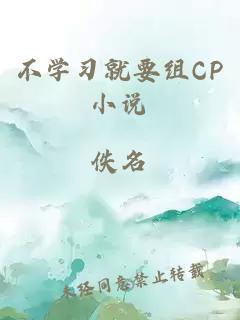 不学习就要组CP小说