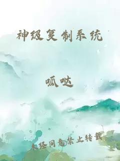 神级复制系统