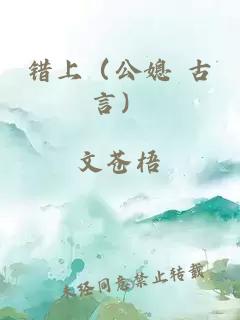 错上（公媳 古言）