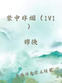 禁中非烟（1V1）