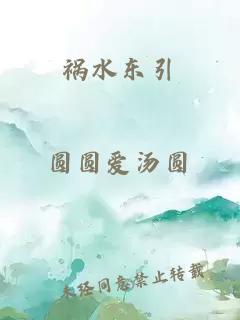 祸水东引