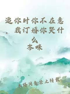 追你时你不在意，我订婚你哭什么