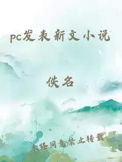 pc发表新文小说