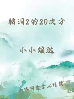 脑洞2的20次方