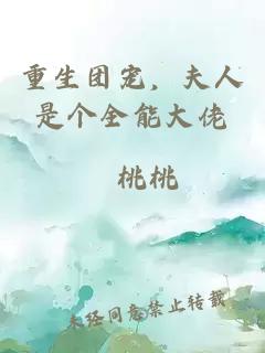 重生团宠，夫人是个全能大佬