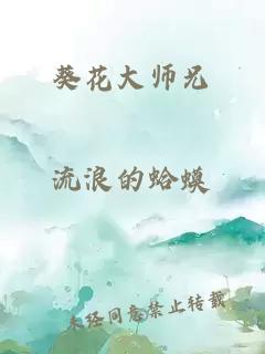 葵花大师兄